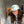 White cap with green logo