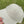 ML brand stamp cotton cap