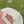 ML brand stamp cotton cap